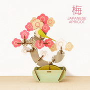 Play Plants Bonsai Puzzles - Classic Ready