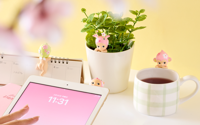 HIPPERS Cherry Blossom Series - Daily Pick