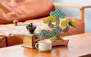 Play Plants Bonsai Puzzles - Classic Ready
