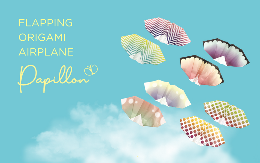 Papillon Origami Airplanes - Gift Ready